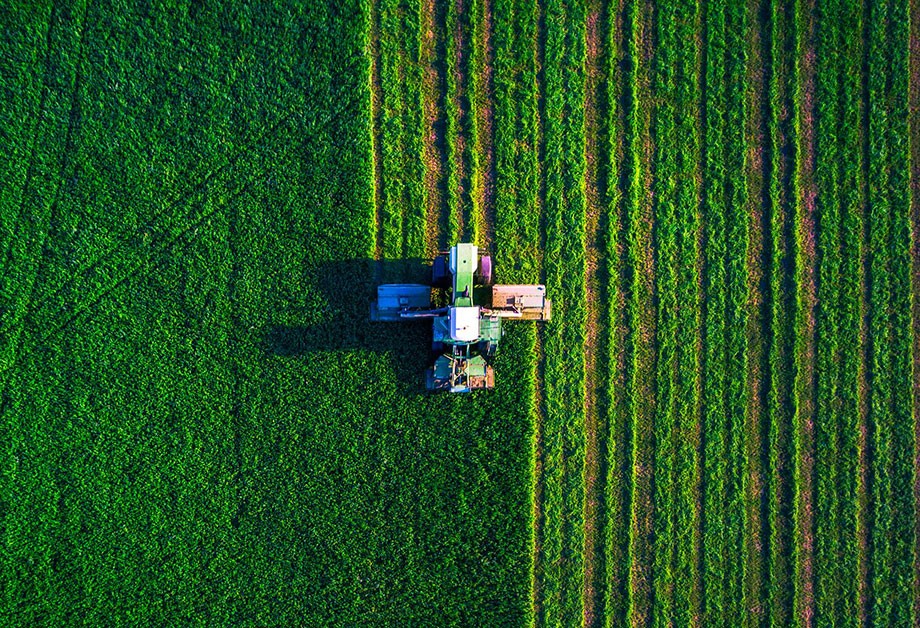 agroquimicos