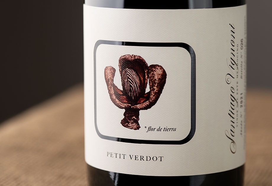 case-study-wine