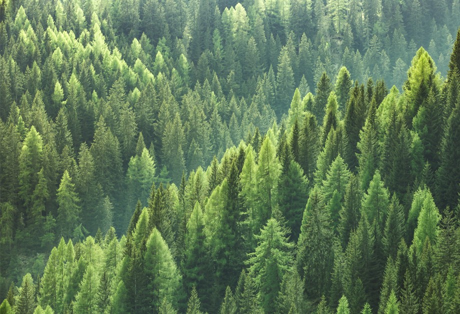 sustainability-goals