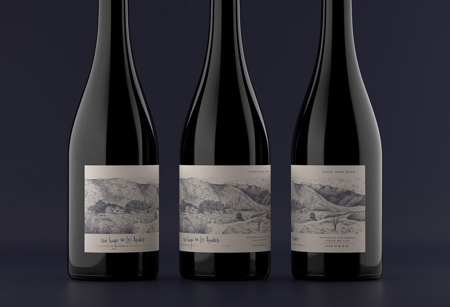 wine-spirit-case-study